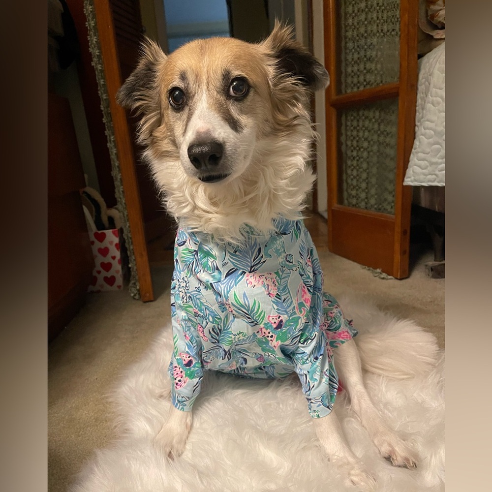 Lilly Pulitzer L/XL Dog PJ Shirt